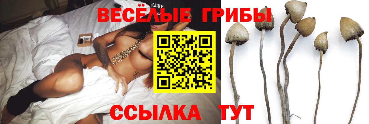 Псилоцибиновые грибы мицелий  Вход с VPN  Архангельск 